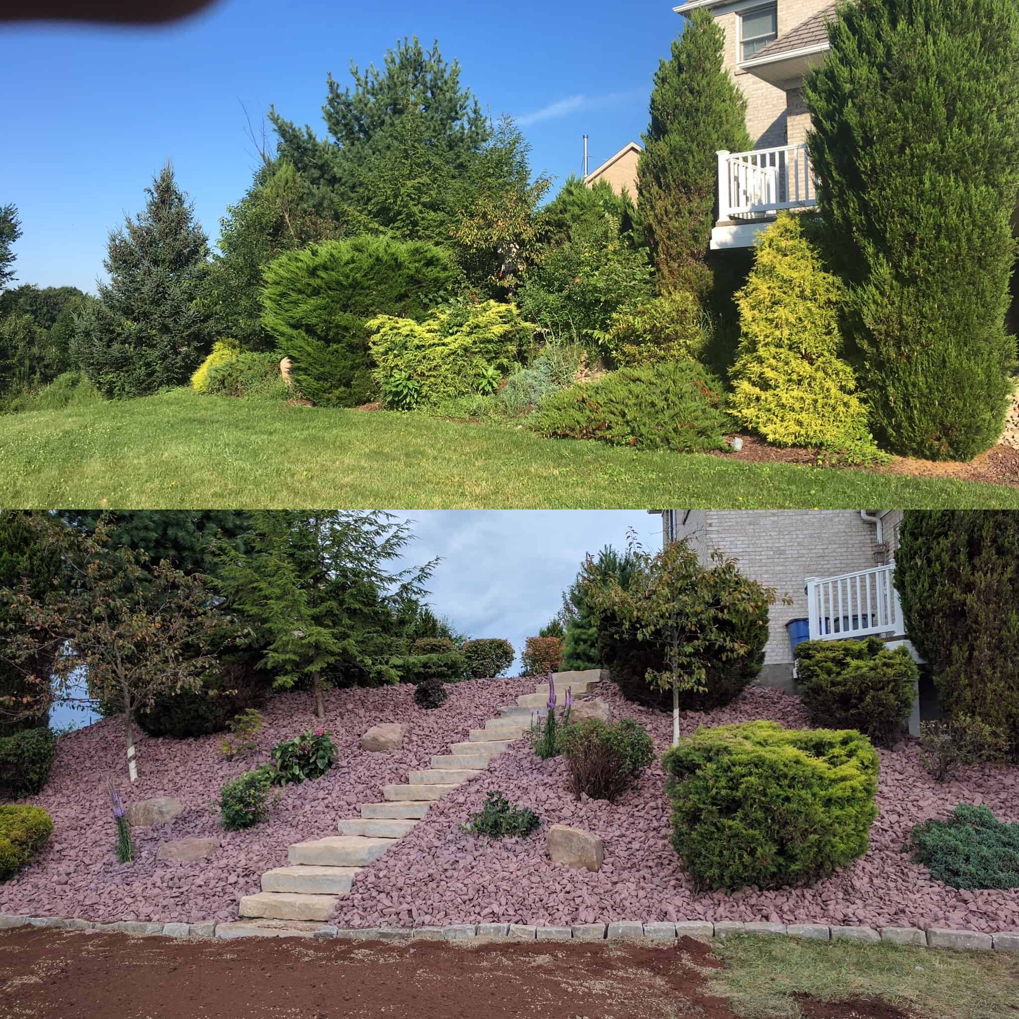 Before after of a backyard