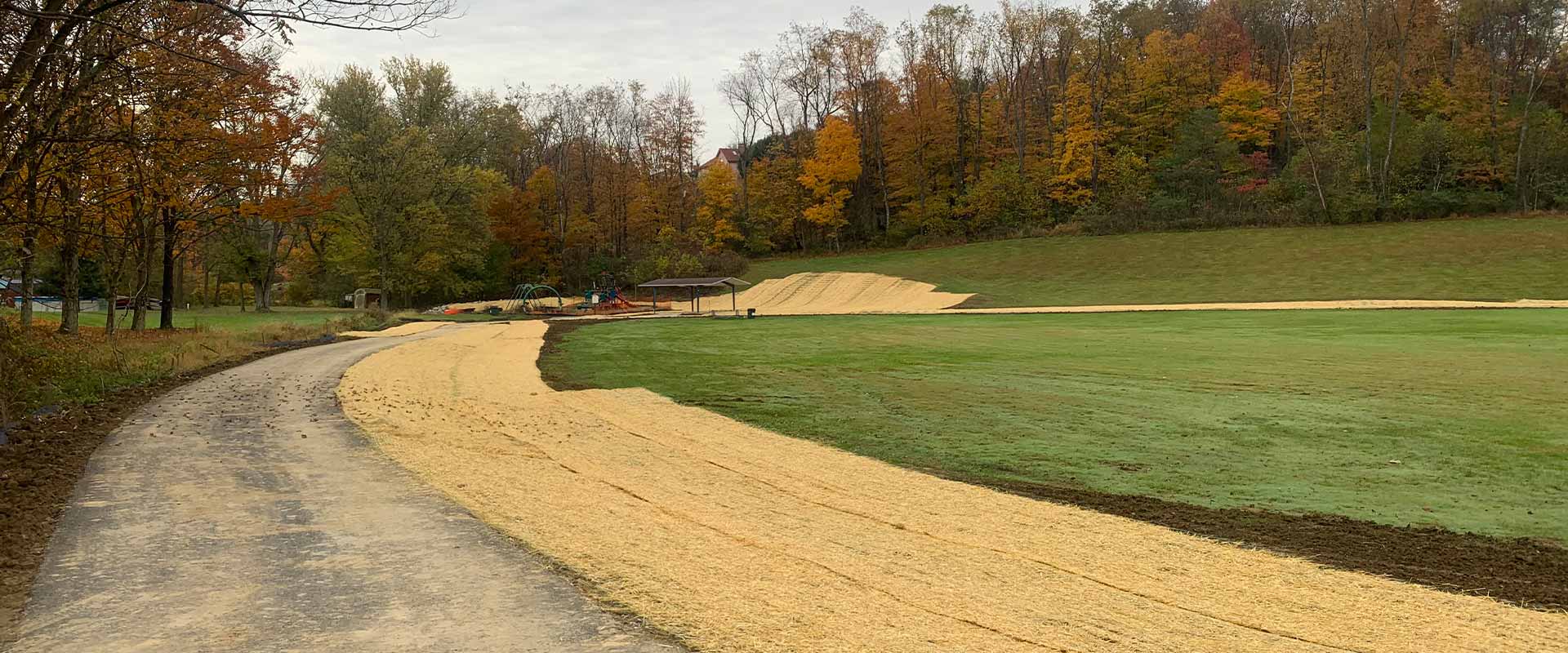 Large scale grass install