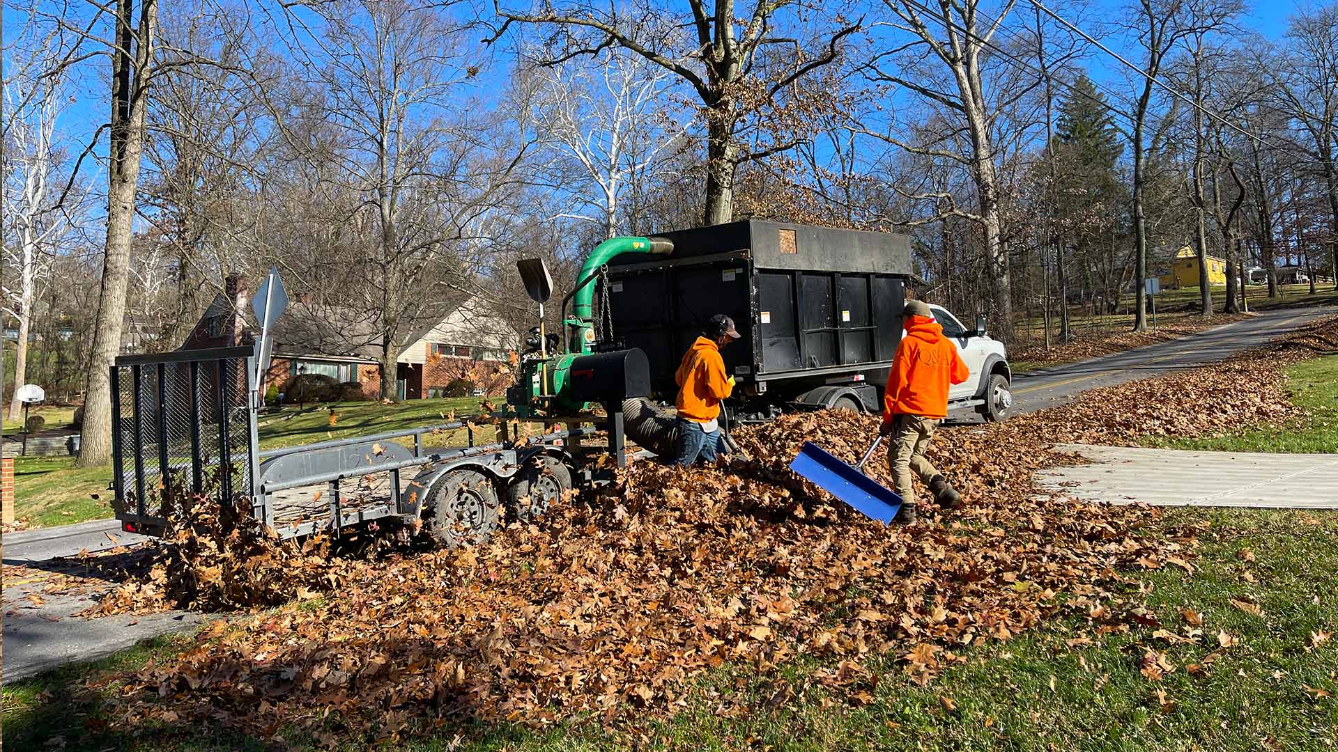  a leaf cleanup job