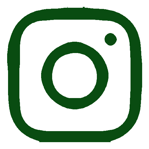 Instagram cartoon logo
